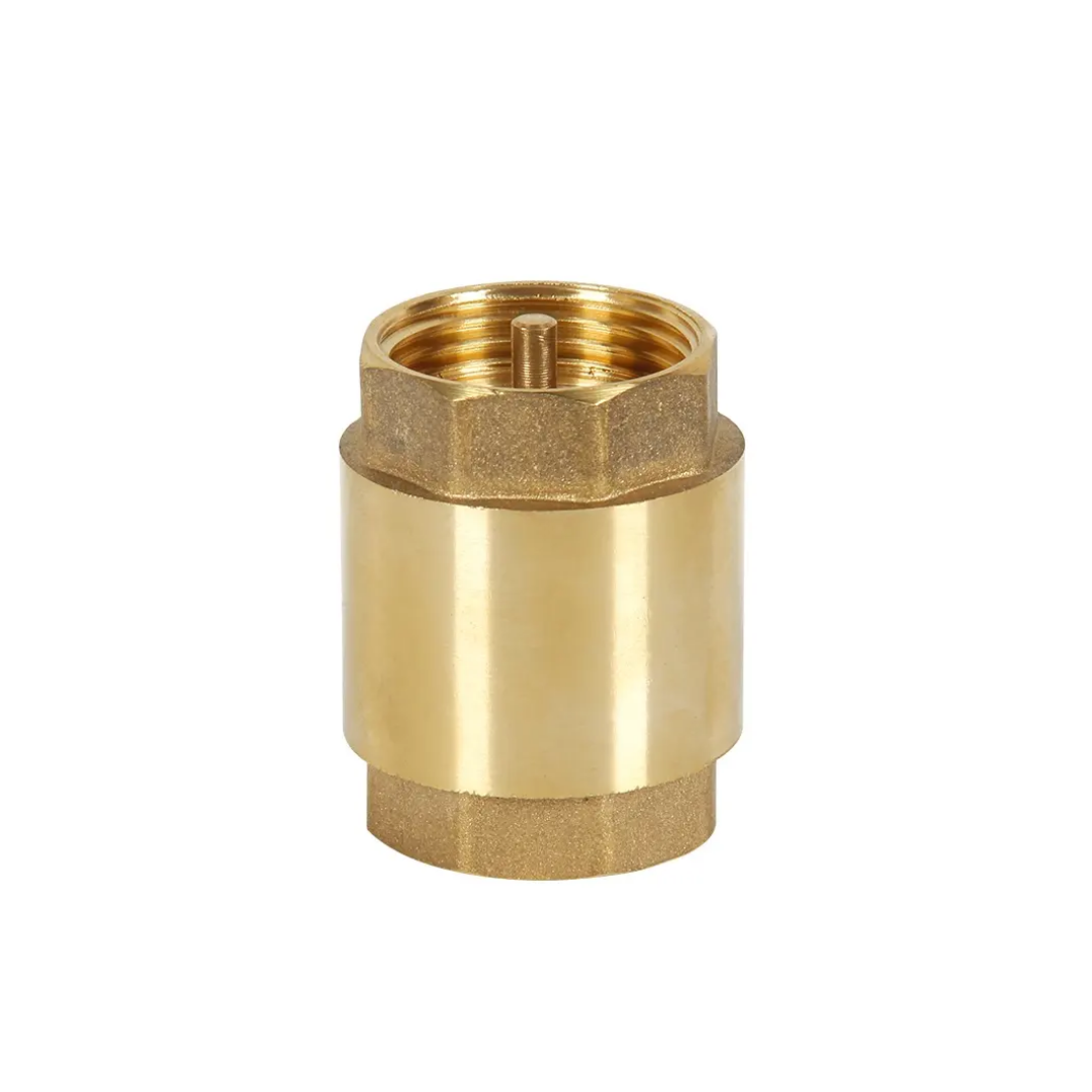 1971 ВЪЗВРАТЕН ВЕНТИЛ 1“ ПЛАСТМАСОВ ДИСК - Image 1